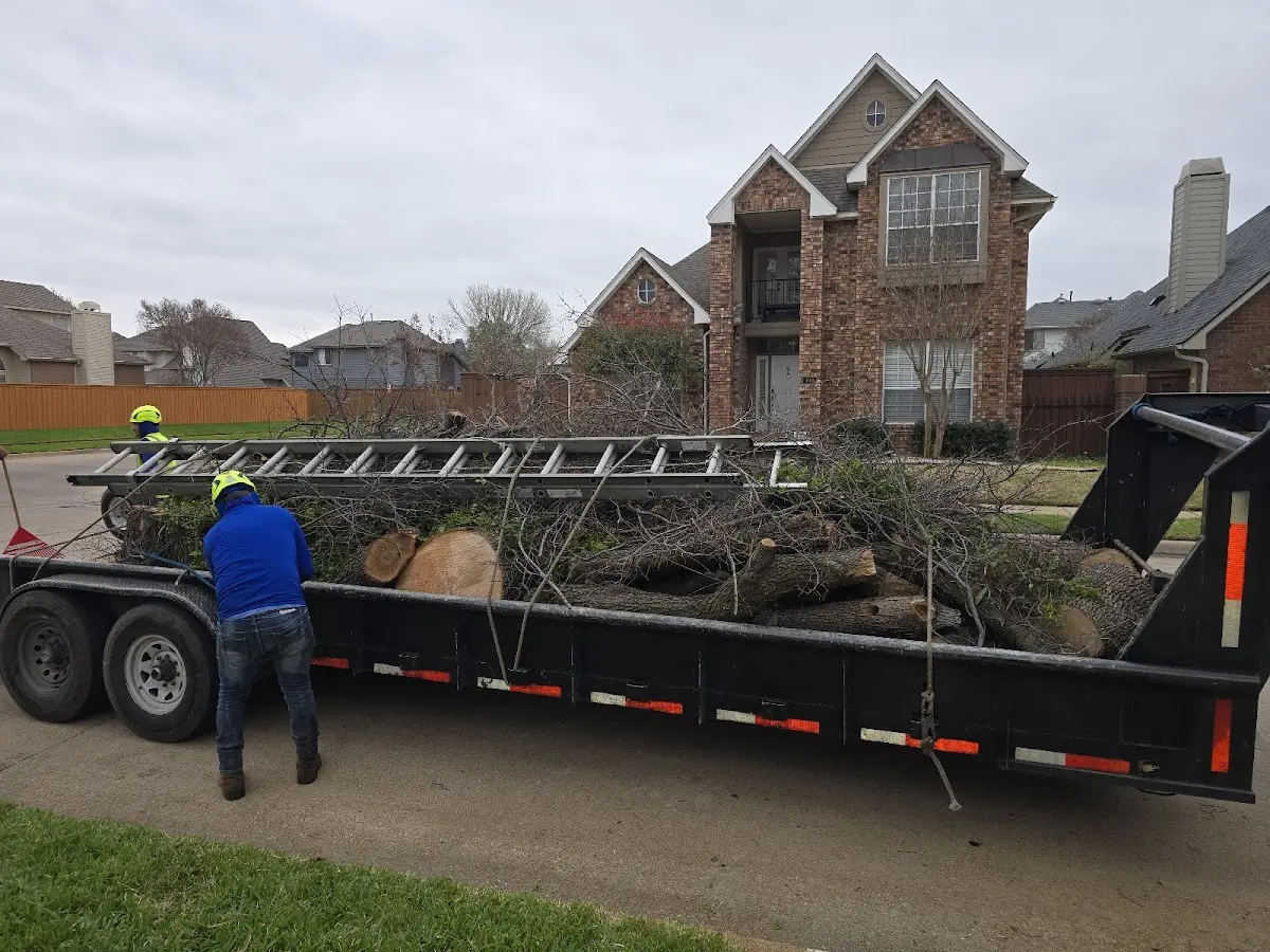 Expert Tree Fertilization with proper safety equipment in Lincolnton